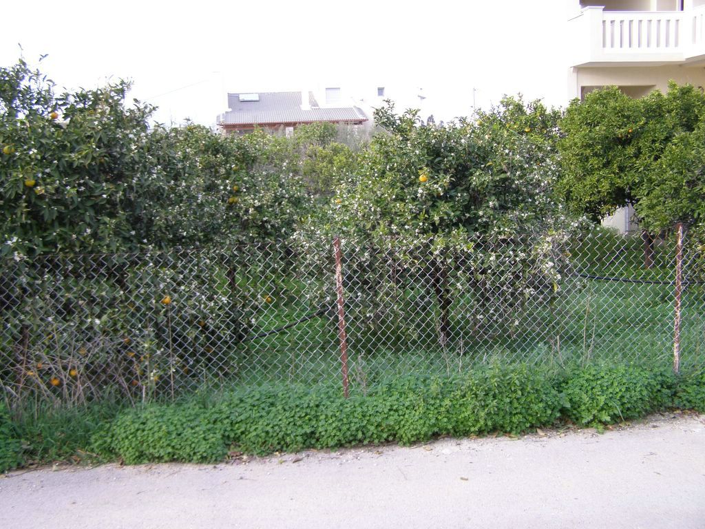 Ευκαιρία: Οικόπεδο 446τμ εντός 29.900€ Πάσιο